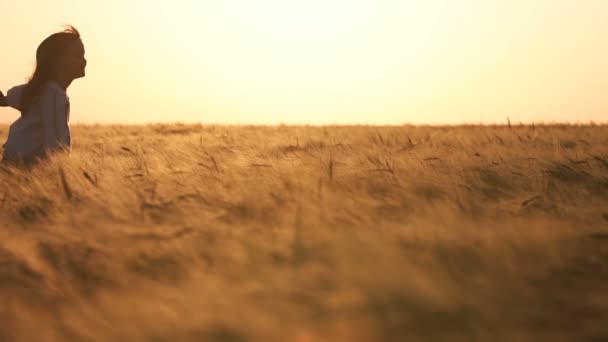 Девушка бежит по золотой пшенице — стоковое видео