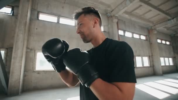 Boxer werkt — Stockvideo
