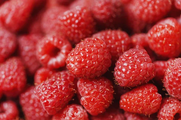 Свежие спелые ягоды малины, витамины природы — стоковое фото