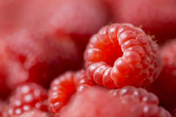 Свежие спелые ягоды малины, витамины природы — стоковое фото