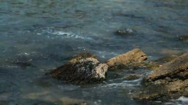 岩に打ち寄せる波 — ストック動画