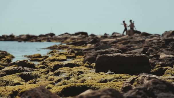 Teenagers Throw Rocks into Sea — Stock Video