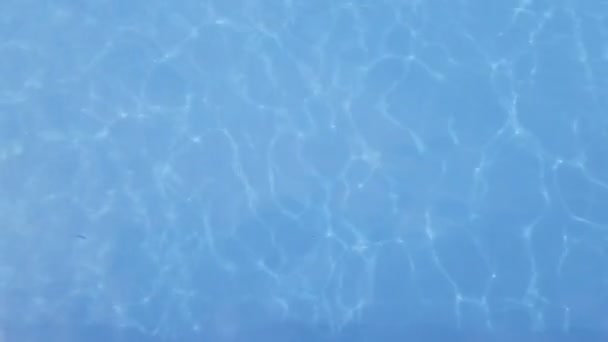 Flicka med dopp i poolen — Stockvideo