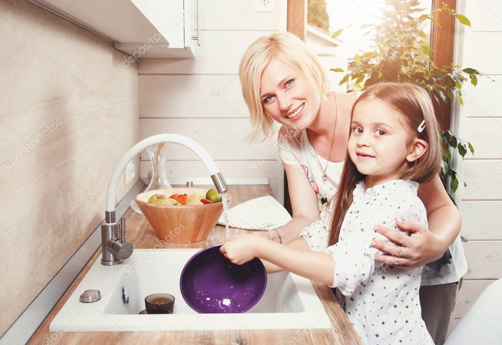 The Mother And Daughter Wash Dish kitchen