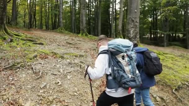 Άνδρες πηγαίνει πεζοπορία στο δάσος — Αρχείο Βίντεο