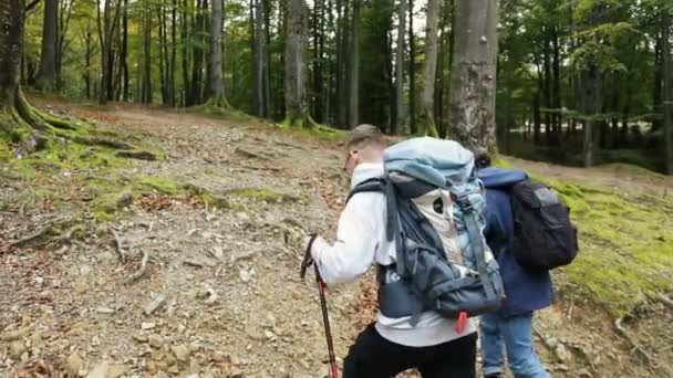 Män går vandring i skogen — Stockvideo