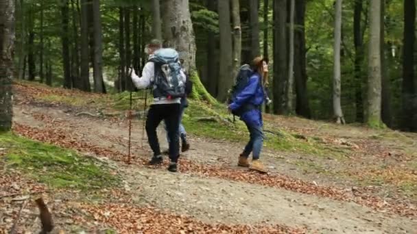 Mirando alrededor del increíble lugar — Vídeo de stock