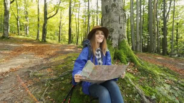 Excursionista Alegre Hermosa Leyendo Mapa Sentado Cerca Árbol Alto Una — Vídeo de stock