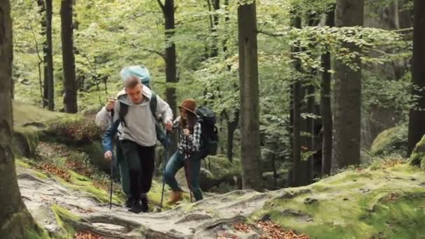 Auf dem Weg nach oben — Stockvideo