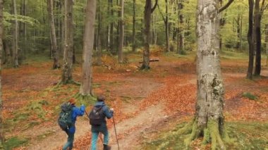 Sonbahar ormanda yürüyüş