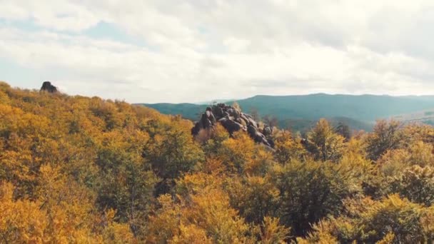 Paisaje de la caída Rocky Woods — Vídeos de Stock