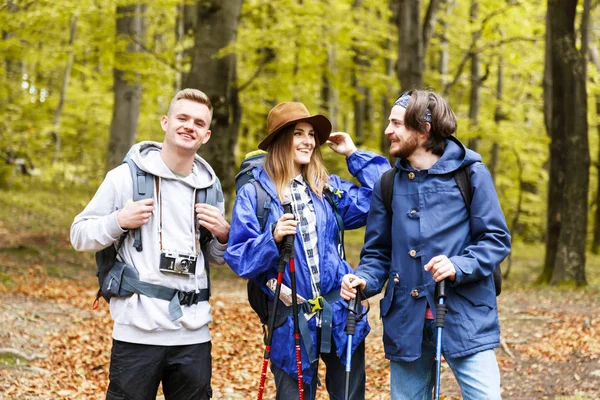 Grupo de amigos estão caminhando na montanha — Fotografia de Stock