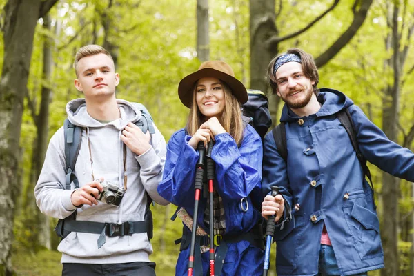 Grupo de amigos estão caminhando na montanha — Fotografia de Stock