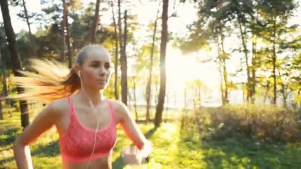 Mulher vai correndo em bosques — Vídeo de Stock