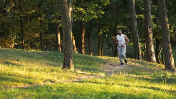 Desportista vai correr na floresta — Vídeo de Stock