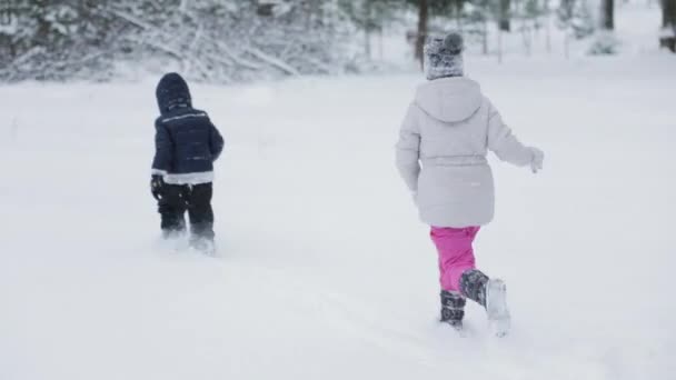 Дети веселятся со снегом — стоковое видео