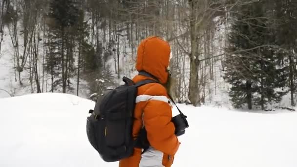 Γυναίκα περίπατοι στο δάσος με σακίδιο και κάμερα — Αρχείο Βίντεο