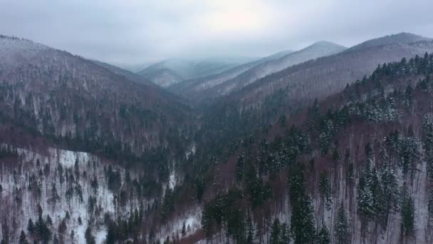 Drohne fliegt im Winter über die Berge — Stockvideo
