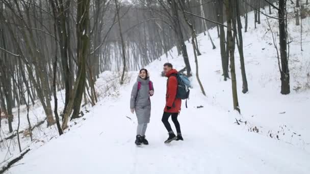 步行夫妇在森林中四处寻找 — 图库视频影像