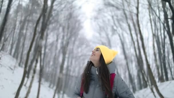 Fille marche dans la forêt — Video