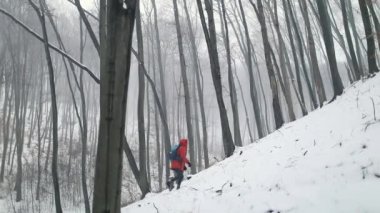 Geniş orman dağda Hiking adam vurdu