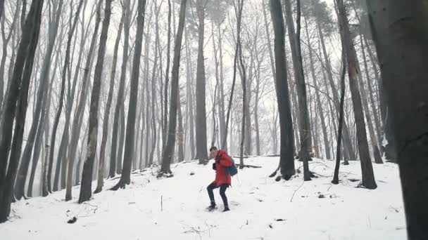 Człowiek idąc ze wzgórza w lesie — Wideo stockowe
