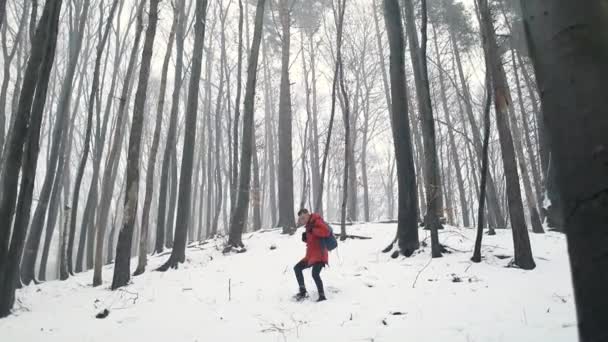 Man gå ner från backen i skogen — Stockvideo