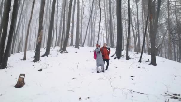 Desfrutando de casal em pé na colina na floresta — Vídeo de Stock