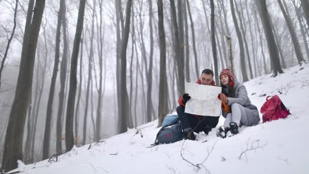 Fáradt pár olvasó a térképen, ül az erdő — Stock videók