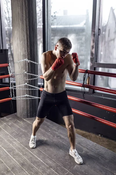 Boxer homem no ringue — Fotografia de Stock
