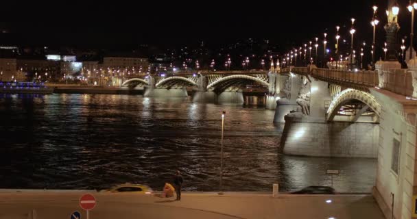 Міст Будапешта — стокове відео