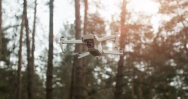 Ormanda drone