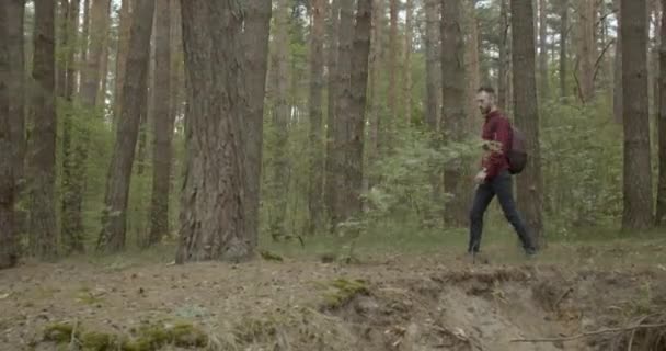 Hombre Turista en el Bosque — Vídeos de Stock