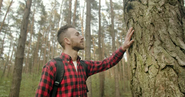 Man Touches Pine Tree — Stock Photo, Image