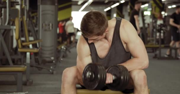 Sportsmen skakar biceps hantel — Stockvideo