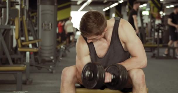 Desportistas que agitam o dumbbell do bíceps — Vídeo de Stock