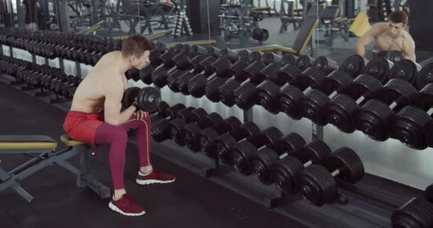 Man Doing Biceps Lifting Barbell — Stock Video
