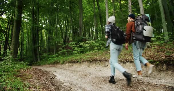 Pareja de turistas mochileros caminando en el bosque — Vídeo de stock