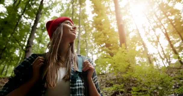 森のバックパックで木を見上げる女性 — ストック動画