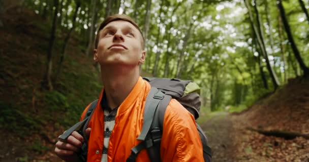 Человек с рюкзаком, осматривающийся в лесу — стоковое видео