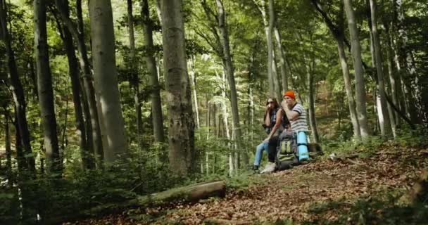 Pár turistů odpočívá s čajem v lese — Stock video