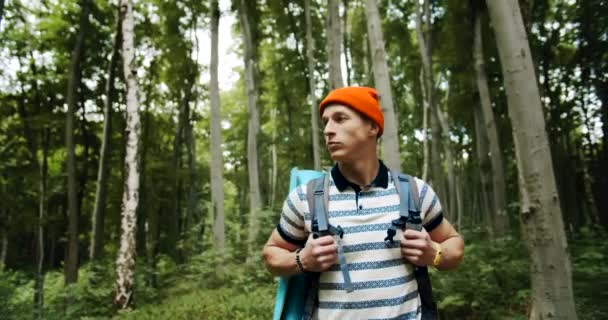 Backpacked mannelijk wandelen in het bos — Stockvideo