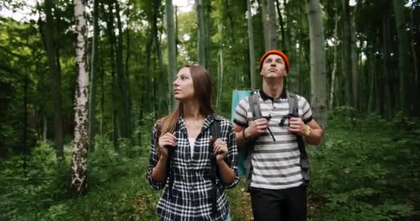 Turistas asombrados en el bosque — Vídeo de stock