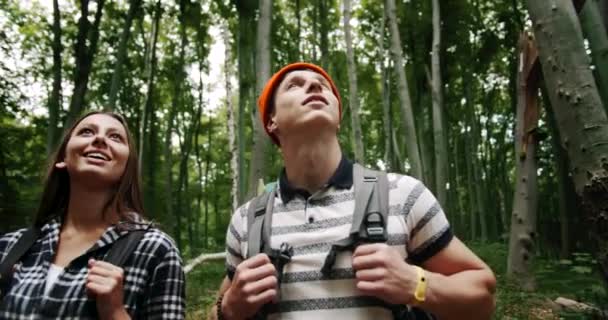 Turistas em Forest Looking Around — Vídeo de Stock