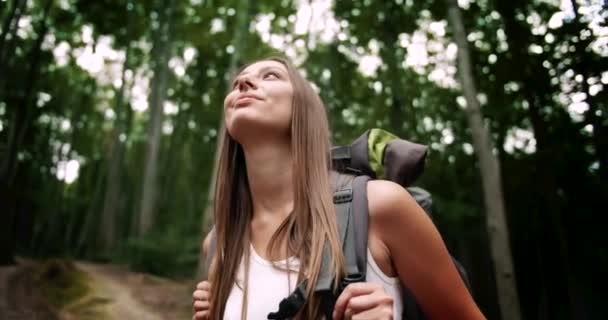 Touriste femme appréciant la forêt — Video