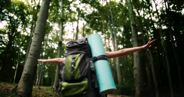 Γυναίκα τουριστικός γυρίζοντας γύρω από το δάσος — Αρχείο Βίντεο