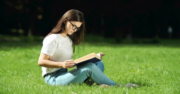 Γυναίκα ανάγνωση βιβλίο στο πάρκο — Αρχείο Βίντεο