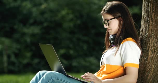 Mujer trabajando en el ordenador portátil en el parque — Vídeos de Stock