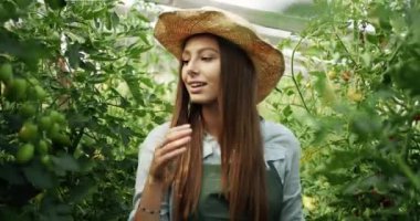 Domates Bitkisi Üzerinde Çalışan Kadın