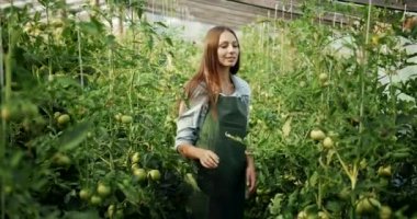 Serada Domates Ikontrol Kadın